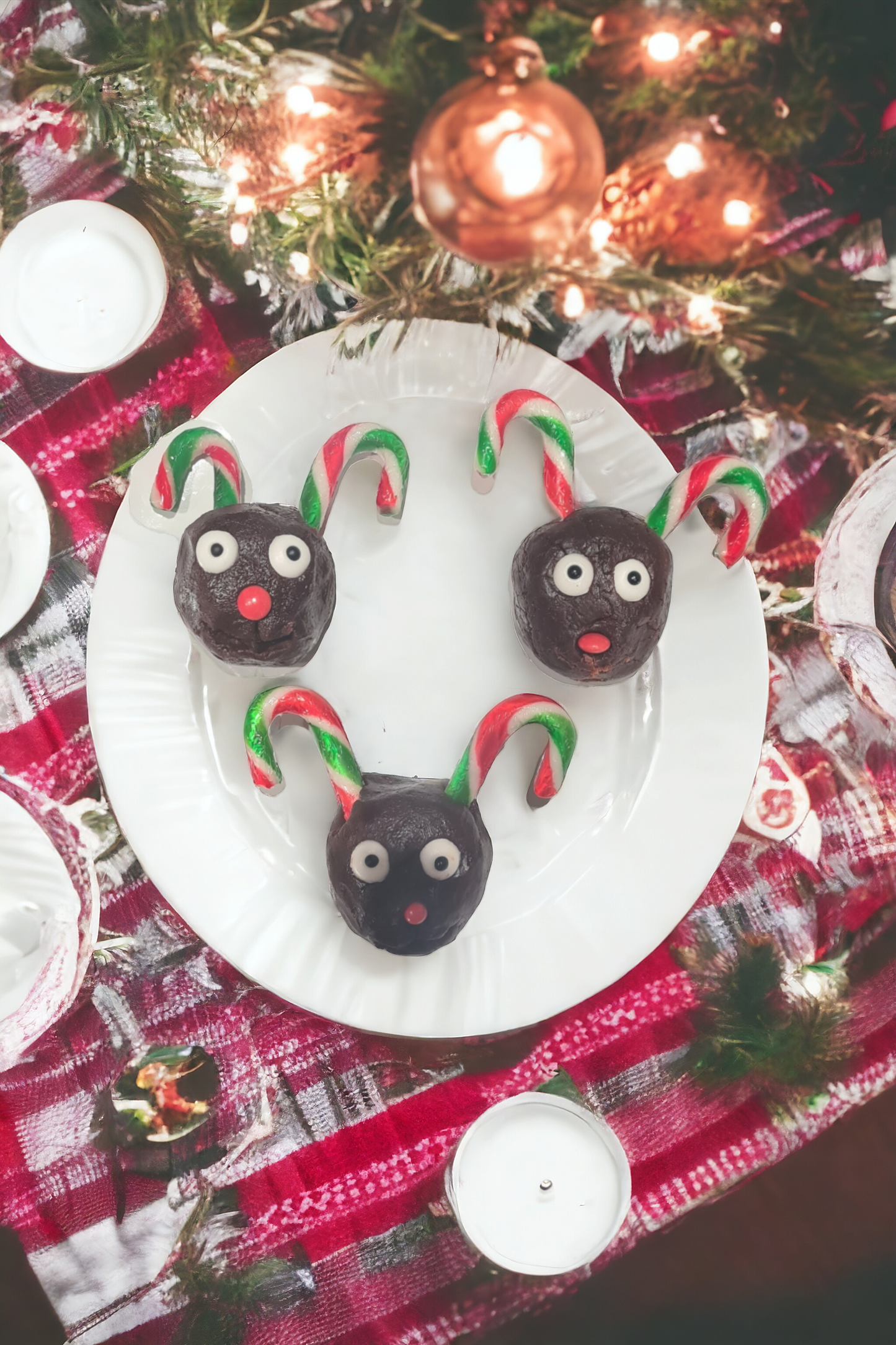 Reindeer Brownie Mix Kit